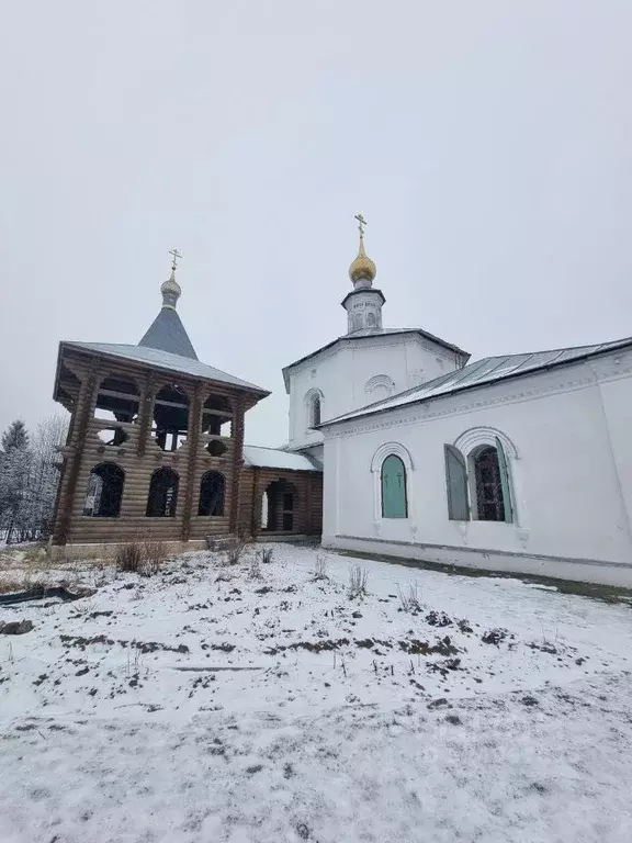 Участок в Ярославская область, Угличский муниципальный округ, с. ... - Фото 1