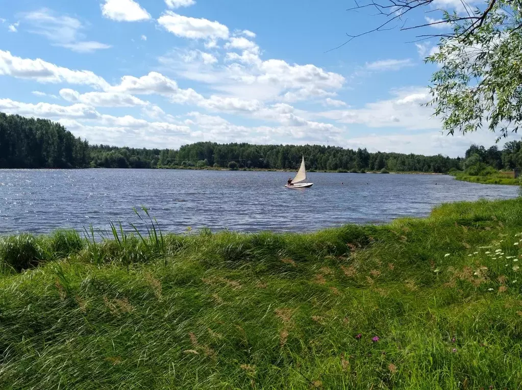 Участок в Московская область, Одинцовский городской округ, Старт СНТ ... - Фото 2