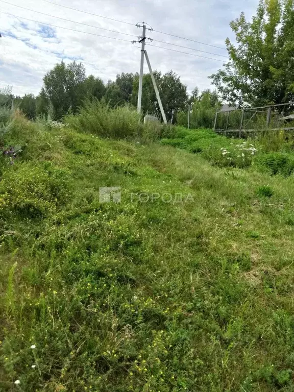 Участок в Алтайский край, Первомайский район, с. Зудилово ул. 2-я ... - Фото 1