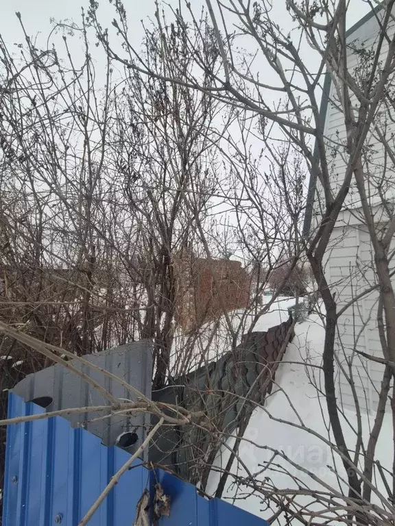 Участок в Омская область, Омский район муниципальный округ, Кировец ... - Фото 2