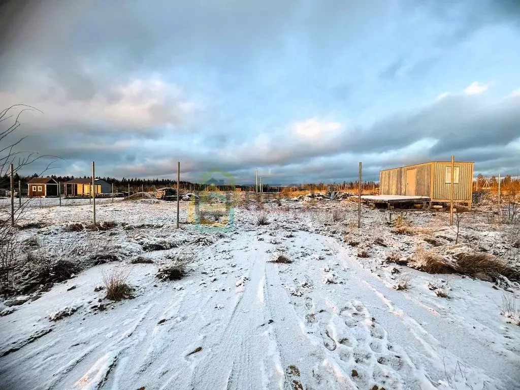 Участок в Ленинградская область, Всеволожский район, Агалатовское ... - Фото 1