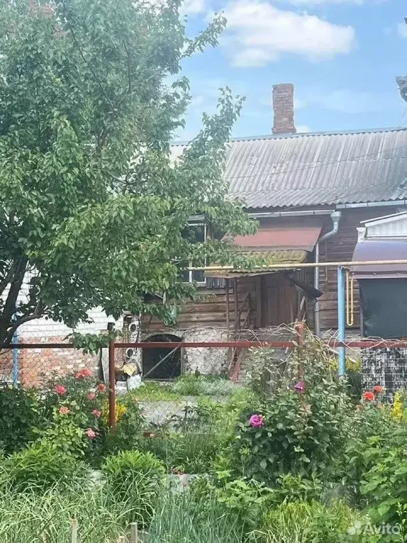 1-к кв. Курская область, Льгов пл. Красная, 22 (32.4 м) - Фото 2