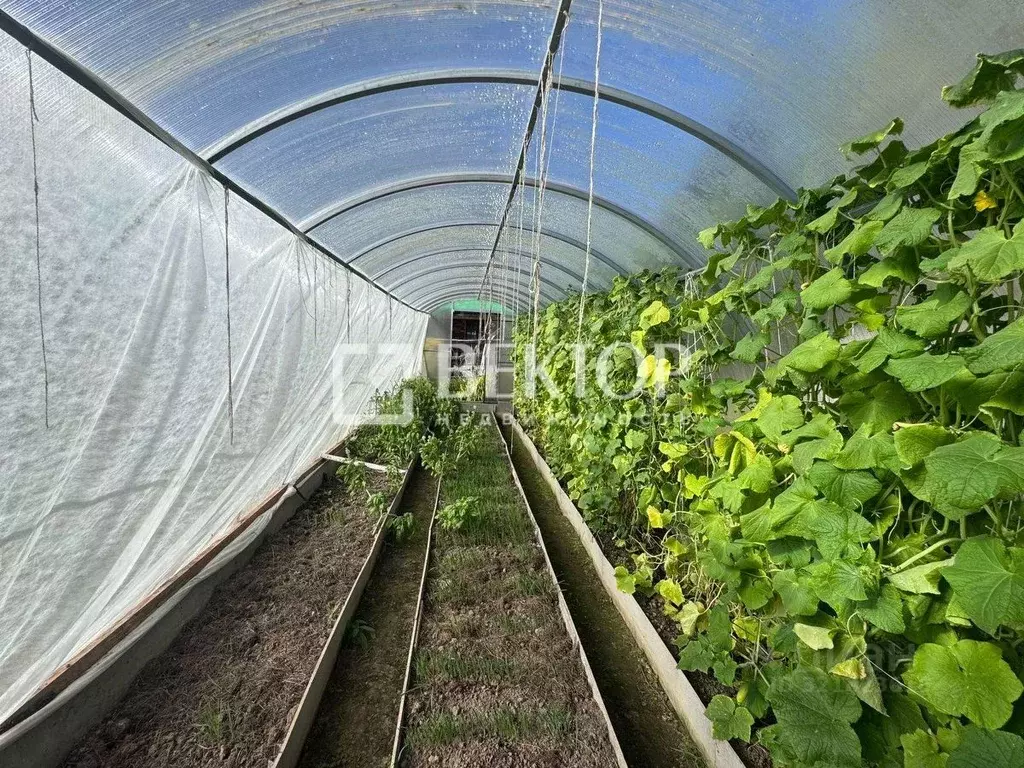 Дом в Костромская область, Красносельский район, Чапаевское с/пос, ... - Фото 2