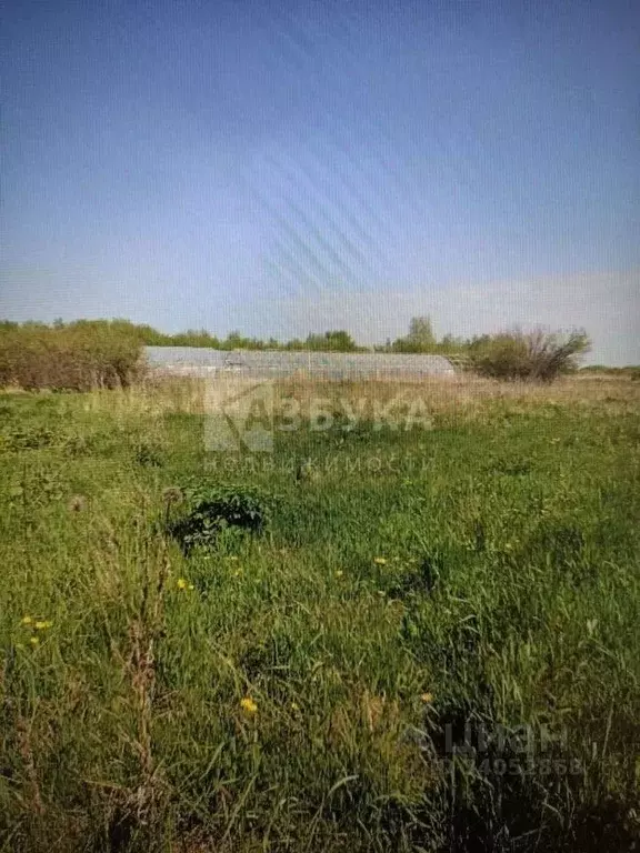 Дом в Воронежская область, Новоусманский район, с. Рогачевка Советская ... - Фото 0