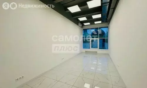 Офис (24.5 м) - Фото 2