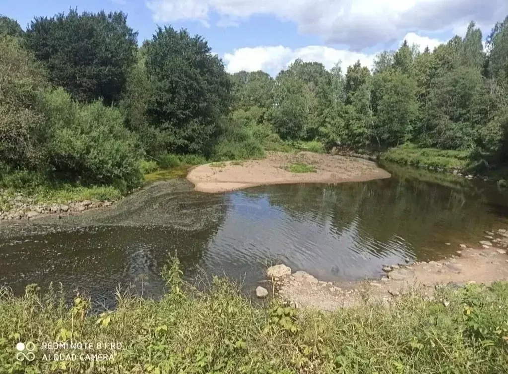 Участок в Новгородская область, Крестецкий муниципальный округ, с. ... - Фото 1