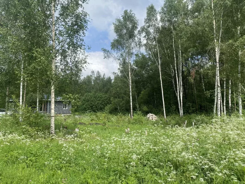 Участок в Ярославская область, Переславль-Залесский городской округ, ... - Фото 1