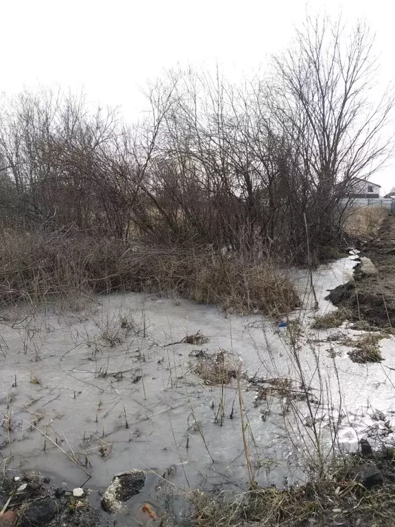 Участок в Московская область, Орехово-Зуевский городской округ, д. ... - Фото 0