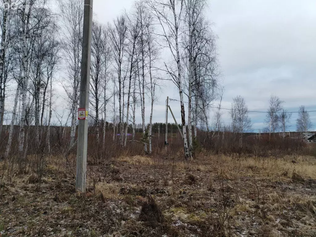 Участок в Кашино, микрорайон Лесной Ручей (87.3 м) - Фото 2