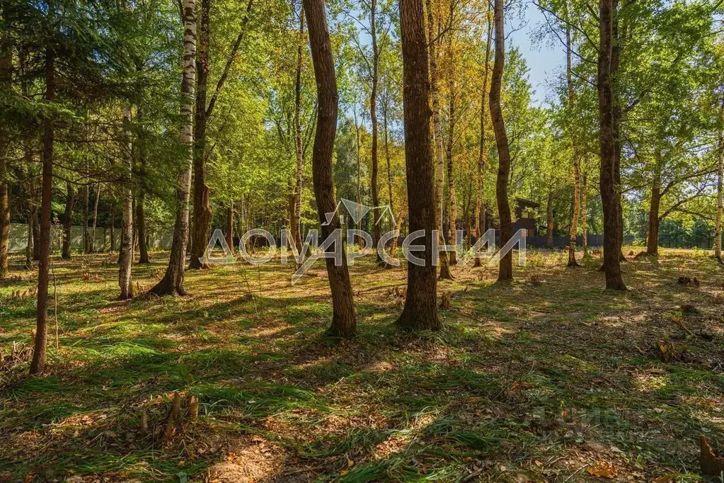 Участок в Московская область, Наро-Фоминский городской округ, д. ... - Фото 1