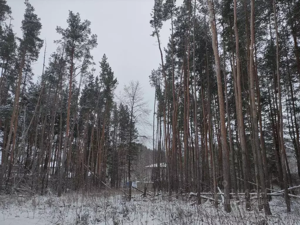 Участок в Татарстан, Лаишевский район, Песчано-Ковалинское с/пос, д. ... - Фото 1