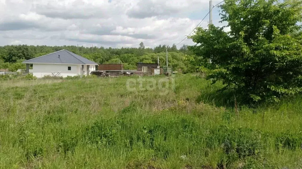 Участок в Хабаровский край, Хабаровский район, Мичуринское с/пос, ... - Фото 0