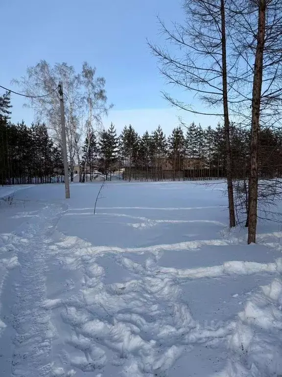 Участок в Новосибирская область, Бердск Раздольный мкр,  (18.0 сот.) - Фото 2