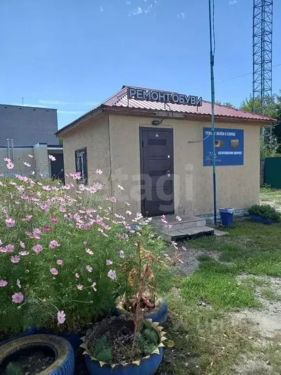 Торговая площадь в Курганская область, Курган ул. Перова, 22А (25 м) - Фото 1