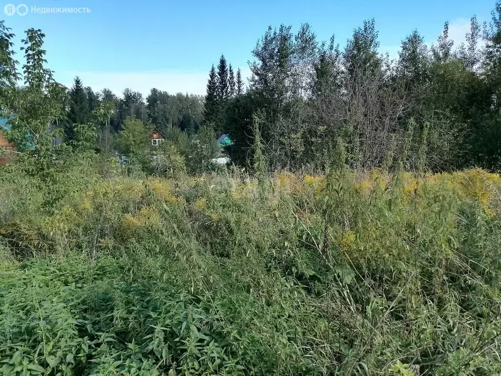 Участок в Барышевский сельсовет, некоммерческое садоводческое ... - Фото 0