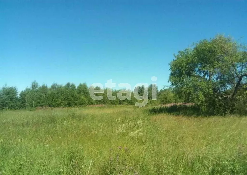 Участок в Свердловская область, Нижний Тагил ул. 1-я Звездная, 1 (9.2 ... - Фото 1