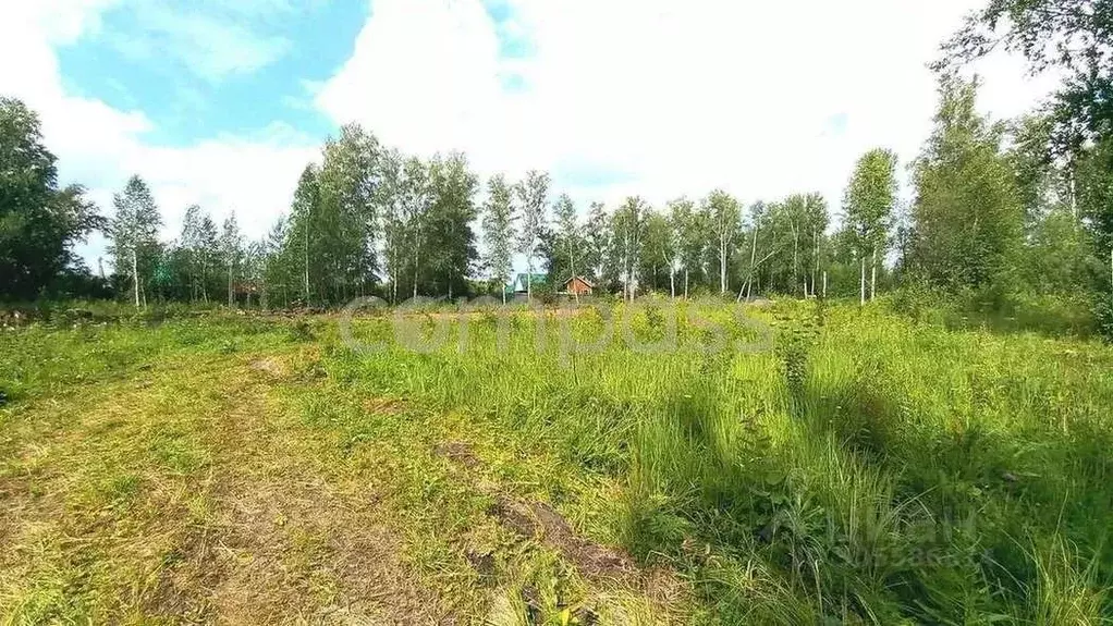 Участок в Тюменская область, Тюмень Зауралец СНТ, ул. Медиков (8.04 ... - Фото 0