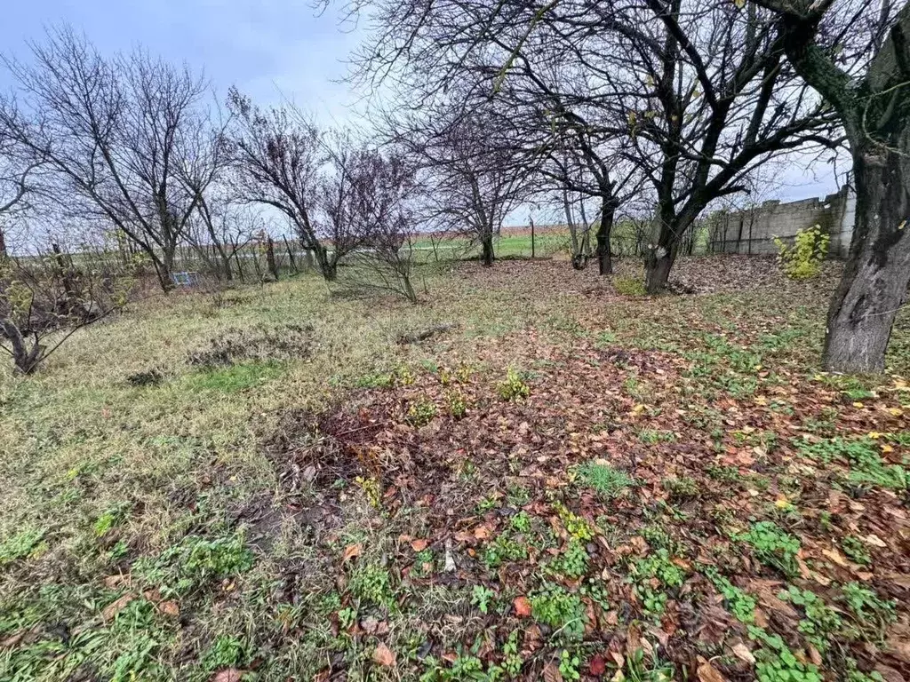 Участок в Краснодарский край, Анапа муниципальный округ, Заря хут. ул. ... - Фото 2