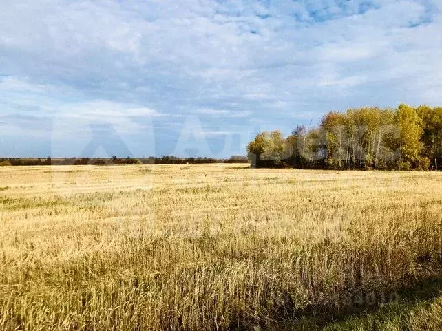 Участок в Тюменская область, Тюменский район, д. Большие Акияры  (8.73 ... - Фото 1