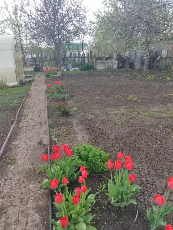 Дом в Самарская область, Волжский район, Верхняя Подстепновка с/пос, ... - Фото 1
