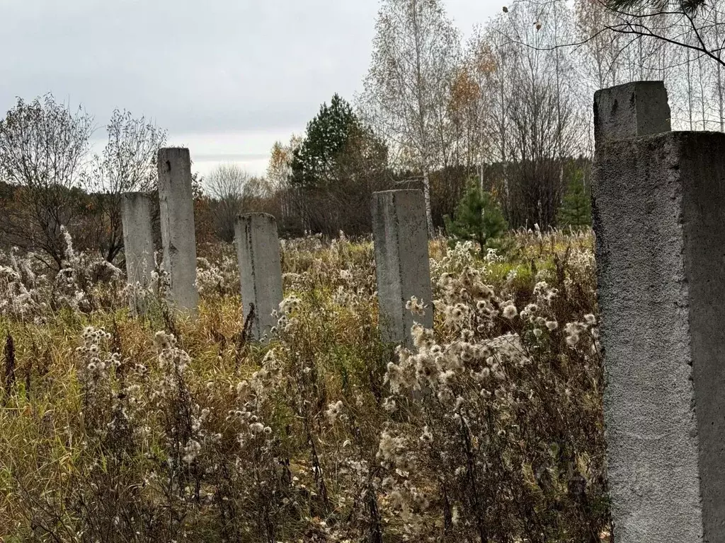 Участок в Свердловская область, Горноуральский городской округ, с. ... - Фото 1
