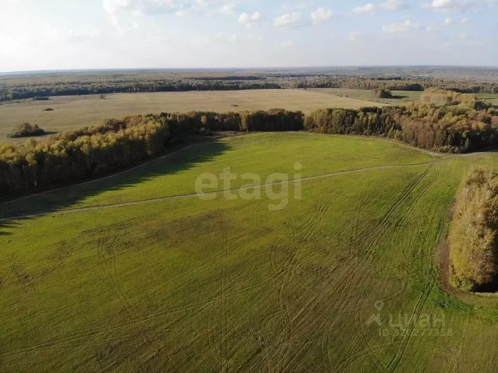 Участок в Тюменская область, Тюменский муниципальный округ, Каменское ... - Фото 1