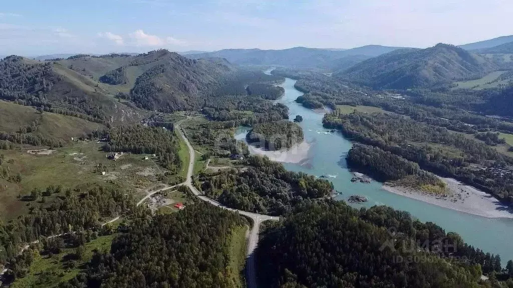 Участок в Алтайский край, Алтайский район, с. Нижнекаянча ул. Усть-Уба ... - Фото 1