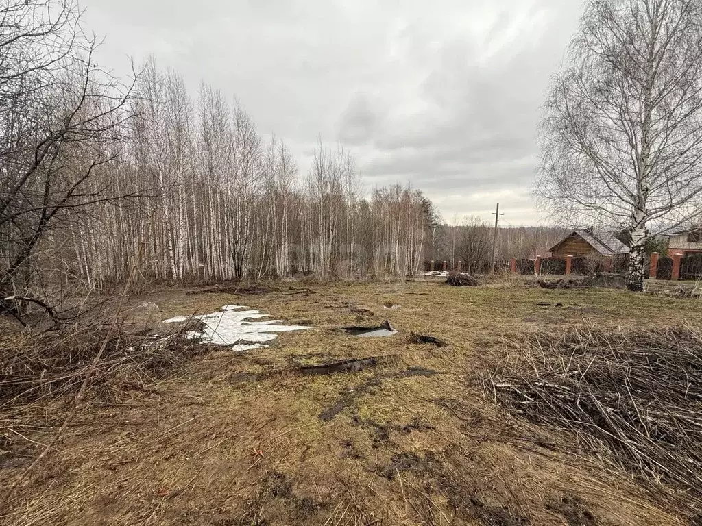 Участок в Кемеровская область, Новокузнецк Зеленчиха СНТ, 250 (10.72 ... - Фото 2