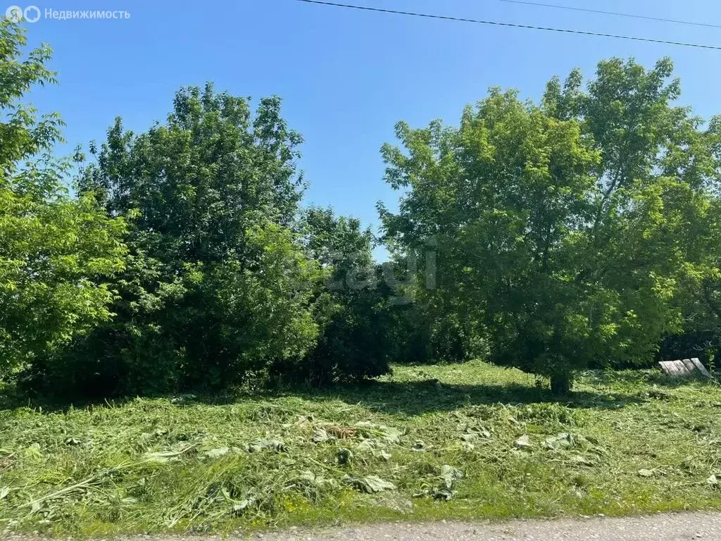 Участок в Советский район, село Шульгин Лог (3.79 м) - Фото 1