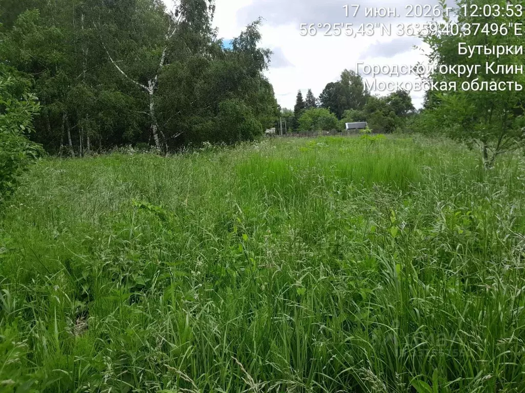 Участок в Московская область, Клин городской округ, д. Бутырки  (15.13 ... - Фото 2