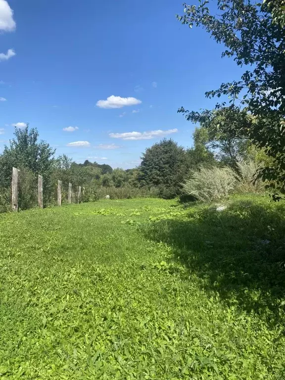 Дом в Тульская область, Щекинский район, Лазаревское с/пос, с. Царево  ... - Фото 2