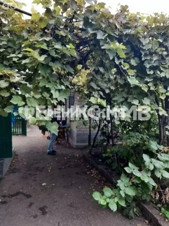 Дом в село Острогорка, Степная улица (53 м) - Фото 1