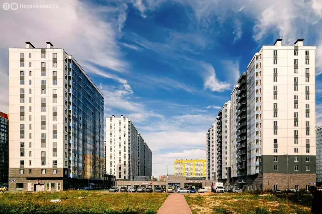 Квартира-студия: Мурино, Графская улица, 6к3 (20.3 м) - Фото 1