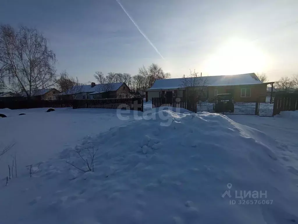 Дом в Алтайский край, Калманский район, с. Новороманово Новая ул., 29 ... - Фото 2