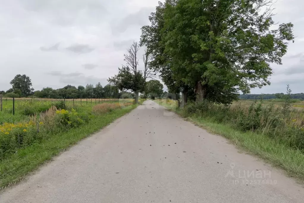 Участок в Калининградская область, Гвардейский муниципальный округ, ... - Фото 1