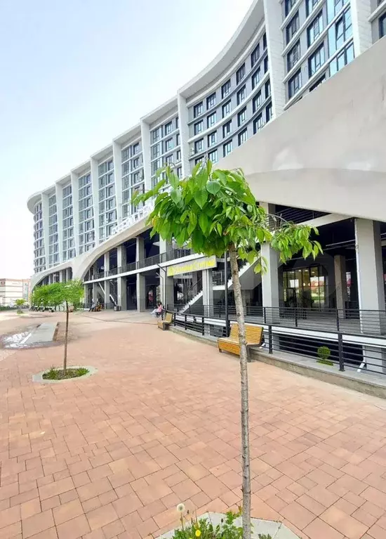 2-к. квартира, 61,7 м, 6/11 эт. - Фото 0