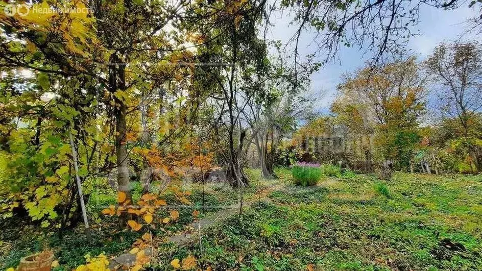 Участок в Воронеж, ДНТ Коминтерновец-1, 3-я линия, 83 (7.77 м) - Фото 1