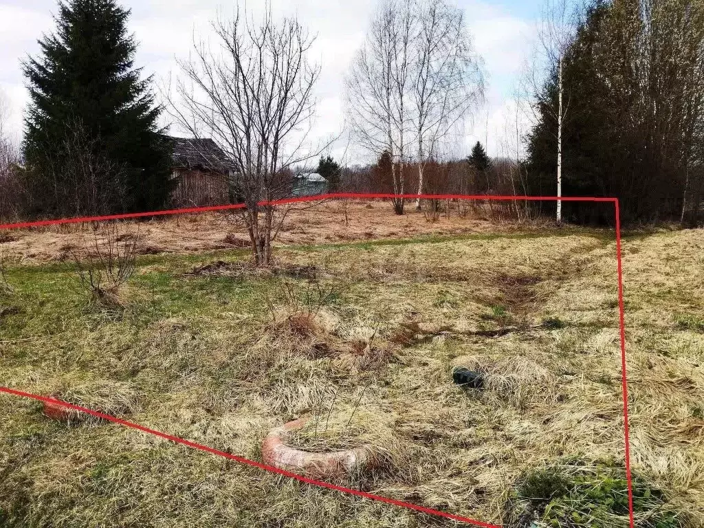 Участок в Вологодская область, Костино-1 садоводческое товарищество  ... - Фото 2