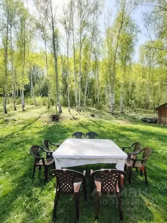 Дом в Алтайский край, Алтайский район, Айский сельсовет, с. Ая ул. ... - Фото 1