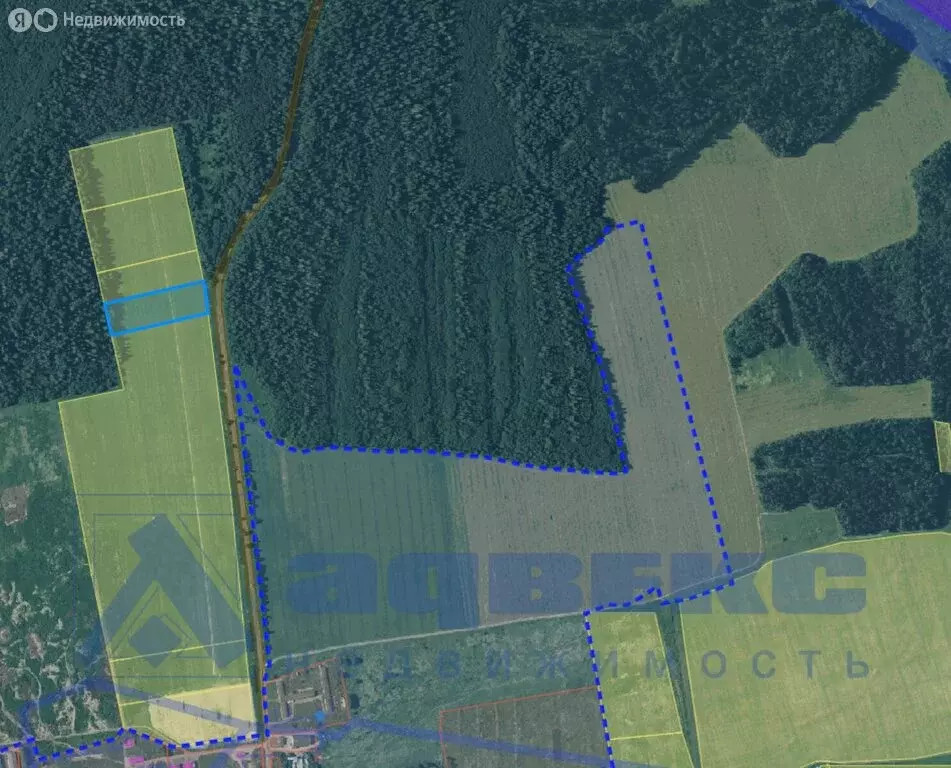 Участок в Волосовский район, Клопицкое сельское поселение, деревня ... - Фото 2