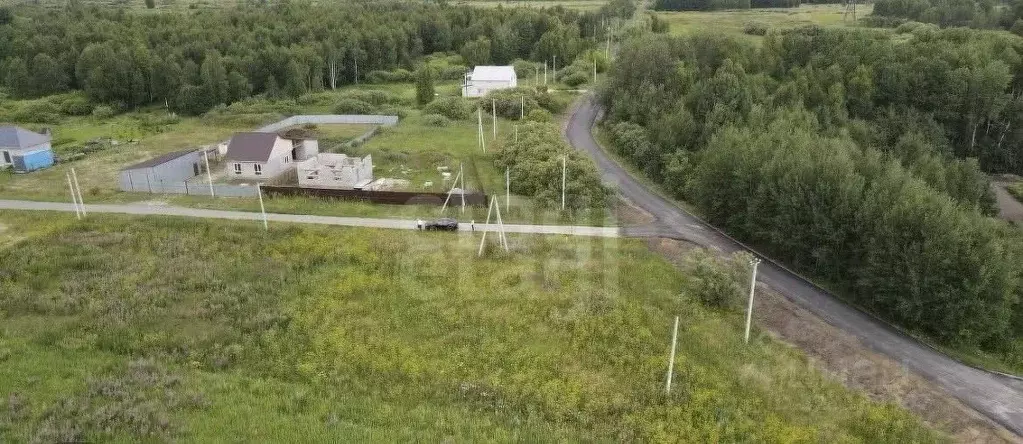 Участок в Тюменская область, Тюменский муниципальный округ, с. Борки ... - Фото 2