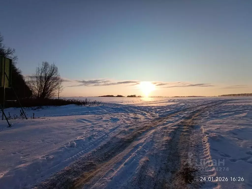 Участок в Орловская область, Орловский муниципальный округ, Санаторий ... - Фото 1