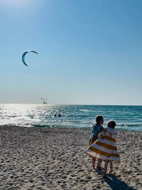 Участок в Крым, Черноморский район, с. Межводное  (6.0 сот.) - Фото 2