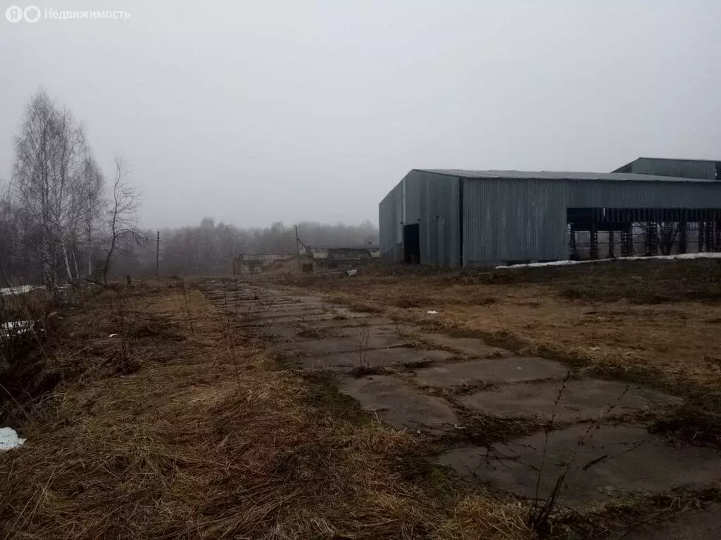 Помещение свободного назначения (2370 м) - Фото 1