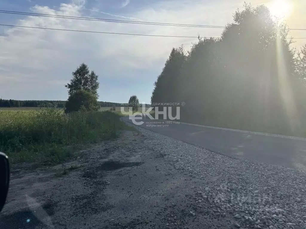 Участок в Нижегородская область, Богородский муниципальный округ, д. ... - Фото 1