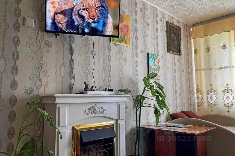 1-к кв. Новгородская область, Старая Русса ул. Гостинодворская, 22 ... - Фото 1