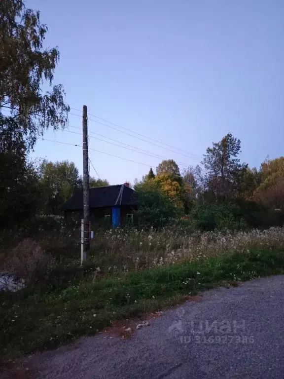Дом в Кировская область, Пижанский муниципальный округ, д. Алехино 9 ... - Фото 1