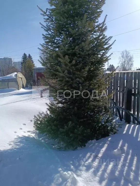 Участок в Новосибирская область, Новосибирск Радуга СНТ, 495 (6.1 ... - Фото 1
