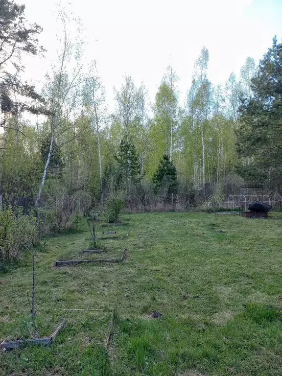 Участок 6 сот. (СНТ, ДНП) - Фото 0