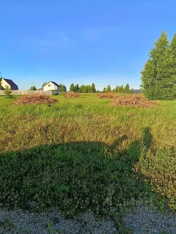 Участок в Марий Эл, Йошкар-Ола городской округ, д. Шоя-Кузнецово ул. ... - Фото 2